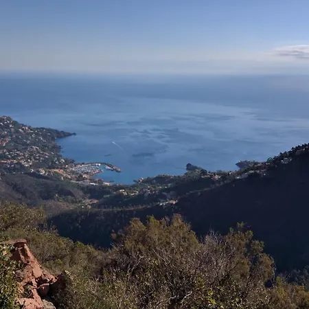 Cap Esterel Les Bastides : 3 Pieces Mer Au Calme O6 - Esterel Vacances 273la Saint-Raphael (Var)